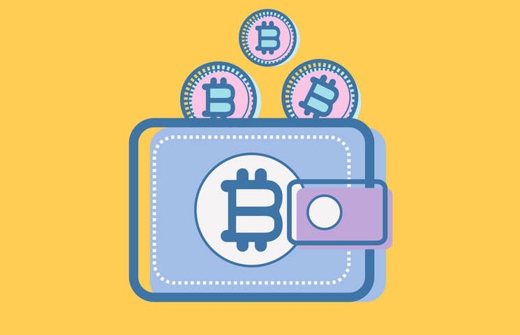 Your 2020 Guide to Cryptocurrency Wallets: Beginners to Experts